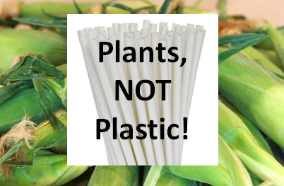 plants not plastic - eco-friendly plant-based straws at Sam's Chowder House in Half Moon Bay