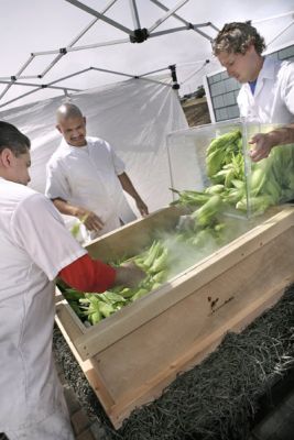 Chef Lewis Rossman adds corn on the cob to steamer box